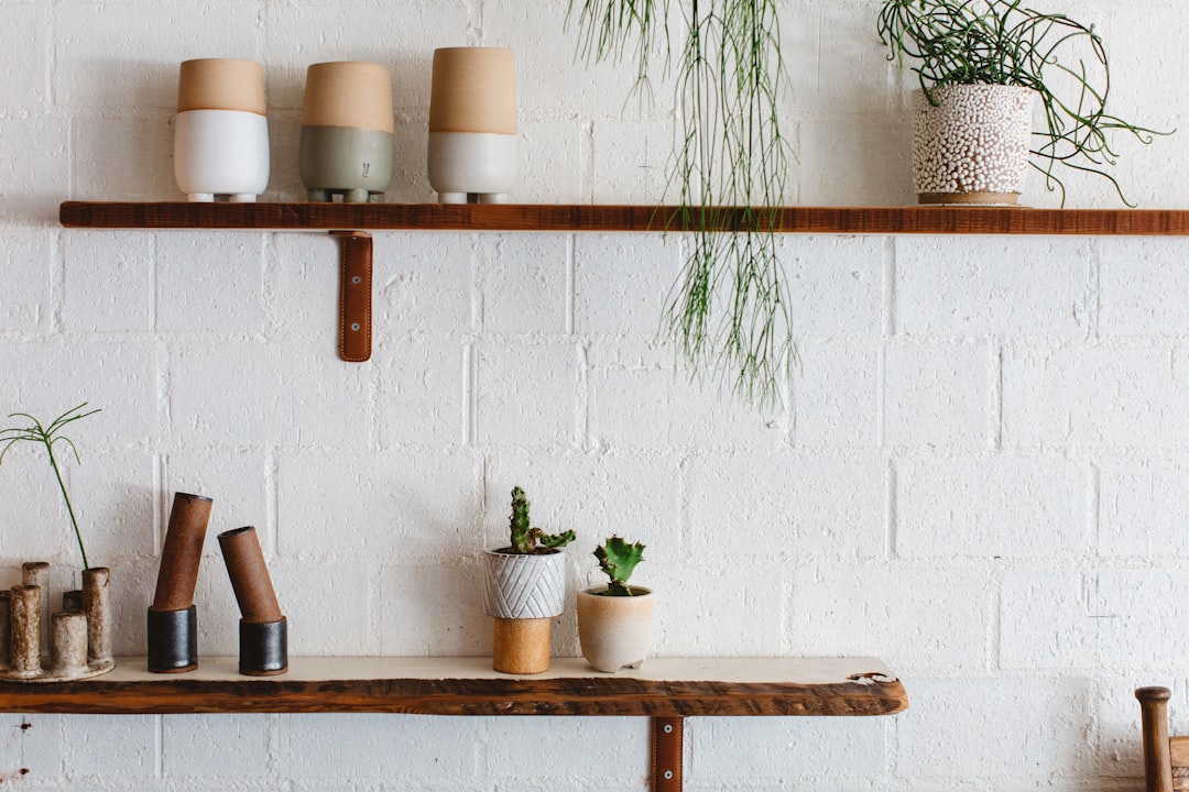 shelf, plants, ceramics, house, home, interior, decoration, space, table, succulents, mid-century, 